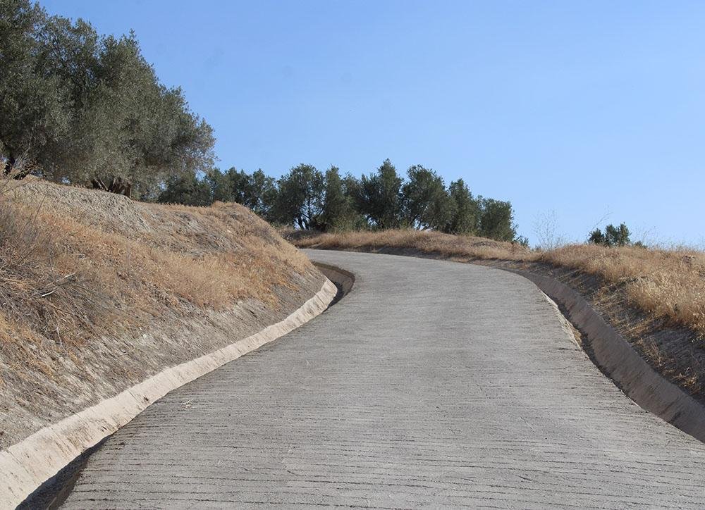 Camino del Cerro de la Vega.