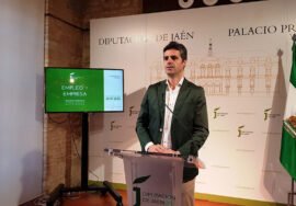 El diputado Luis Miguel Carmona.- DIPUTACIÓN DE JAÉN - Archivo