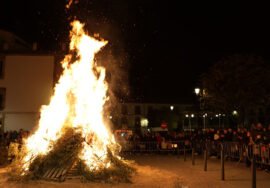 Imagen de la Hoguera Oficial de San Antón en la Plaza Primero de Mayo.