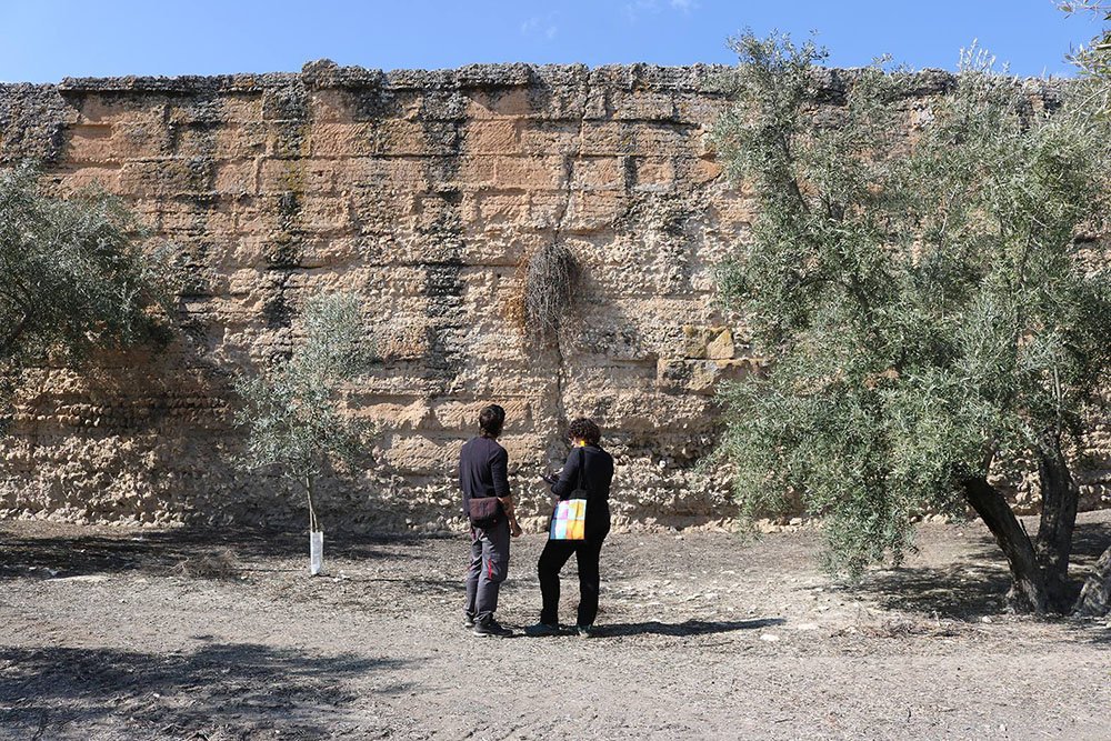 Trabajos en el yacimiento arqueológico de Úbeda La Vieja - UJA - Archivo